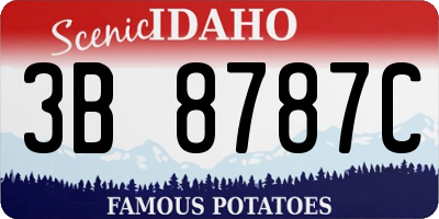 ID license plate 3B8787C