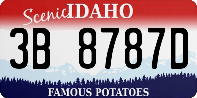 ID license plate 3B8787D
