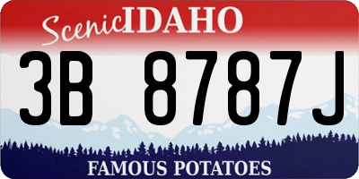 ID license plate 3B8787J