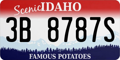 ID license plate 3B8787S