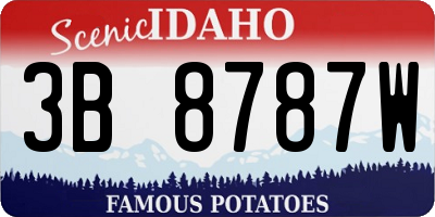 ID license plate 3B8787W