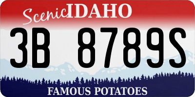 ID license plate 3B8789S