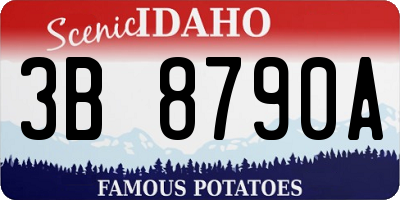 ID license plate 3B8790A
