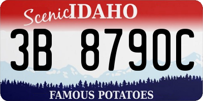 ID license plate 3B8790C