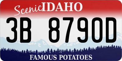 ID license plate 3B8790D
