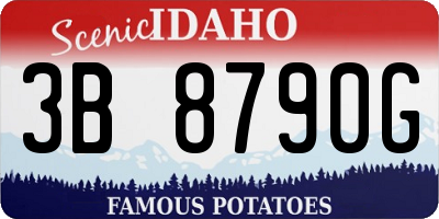 ID license plate 3B8790G
