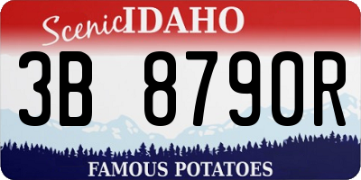 ID license plate 3B8790R