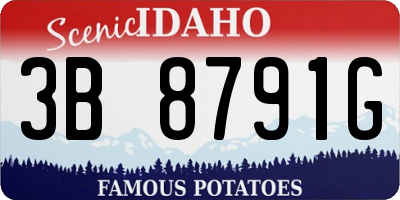 ID license plate 3B8791G