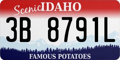 ID license plate 3B8791L