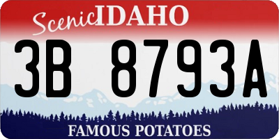ID license plate 3B8793A