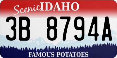 ID license plate 3B8794A