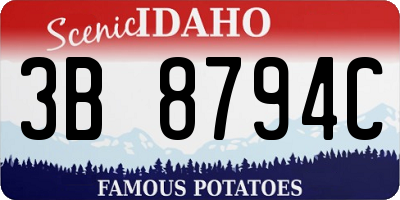 ID license plate 3B8794C