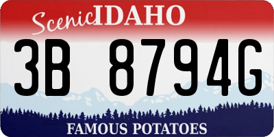 ID license plate 3B8794G