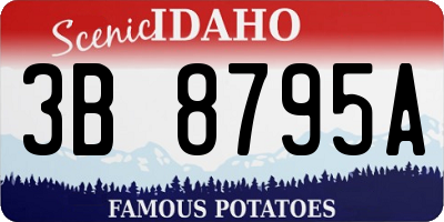 ID license plate 3B8795A