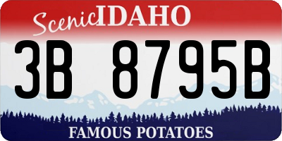 ID license plate 3B8795B