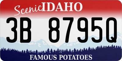 ID license plate 3B8795Q