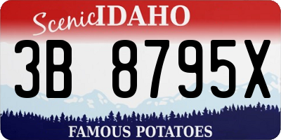 ID license plate 3B8795X