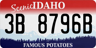 ID license plate 3B8796B