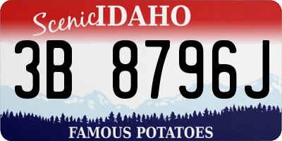 ID license plate 3B8796J