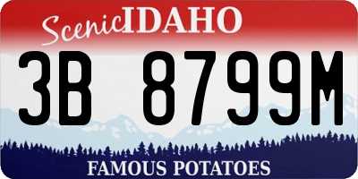 ID license plate 3B8799M