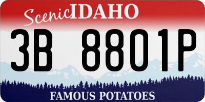 ID license plate 3B8801P