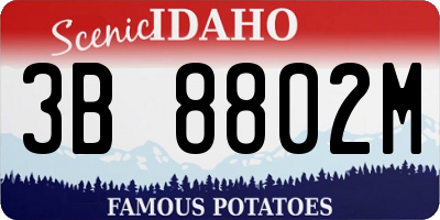 ID license plate 3B8802M