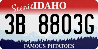 ID license plate 3B8803G
