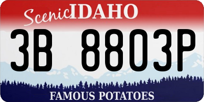 ID license plate 3B8803P