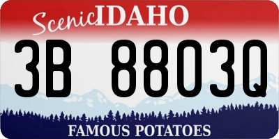 ID license plate 3B8803Q