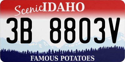 ID license plate 3B8803V
