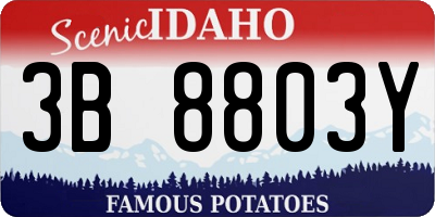 ID license plate 3B8803Y