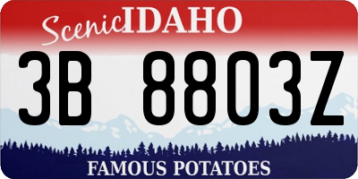 ID license plate 3B8803Z