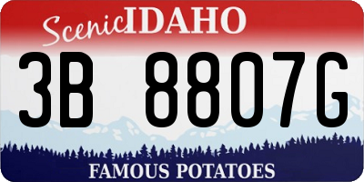 ID license plate 3B8807G