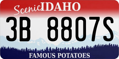 ID license plate 3B8807S