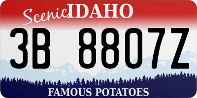 ID license plate 3B8807Z