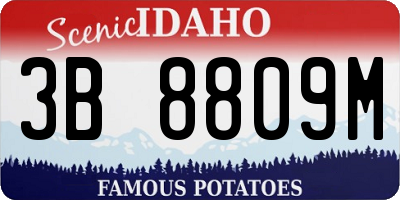 ID license plate 3B8809M