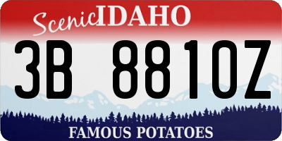 ID license plate 3B8810Z