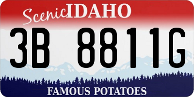 ID license plate 3B8811G