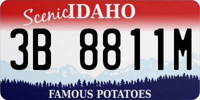 ID license plate 3B8811M