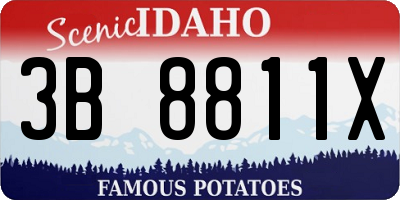 ID license plate 3B8811X