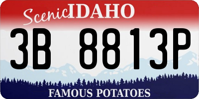 ID license plate 3B8813P