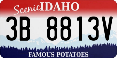 ID license plate 3B8813V