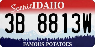 ID license plate 3B8813W