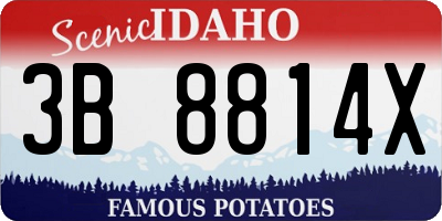 ID license plate 3B8814X