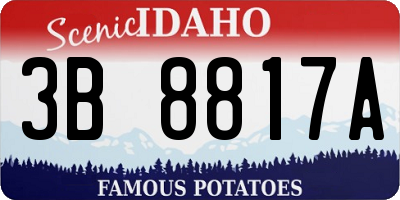 ID license plate 3B8817A