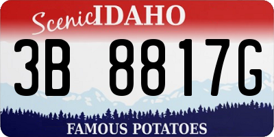ID license plate 3B8817G