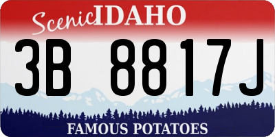 ID license plate 3B8817J