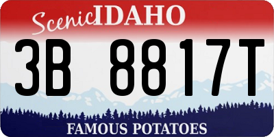 ID license plate 3B8817T