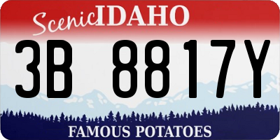 ID license plate 3B8817Y