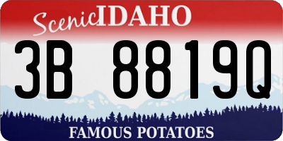 ID license plate 3B8819Q